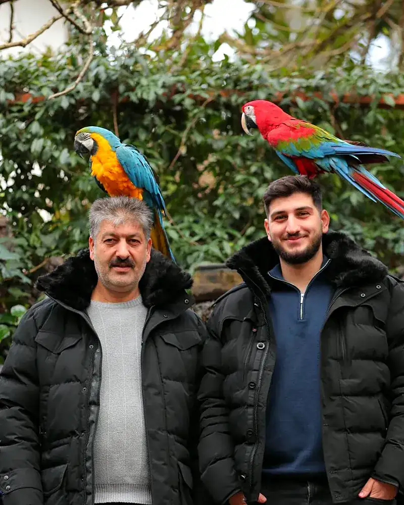 Vater und Sohn Gezer mit ihren beiden Papageien vor grüner Hecke – der Familienbetrieb in zweiter Generation
